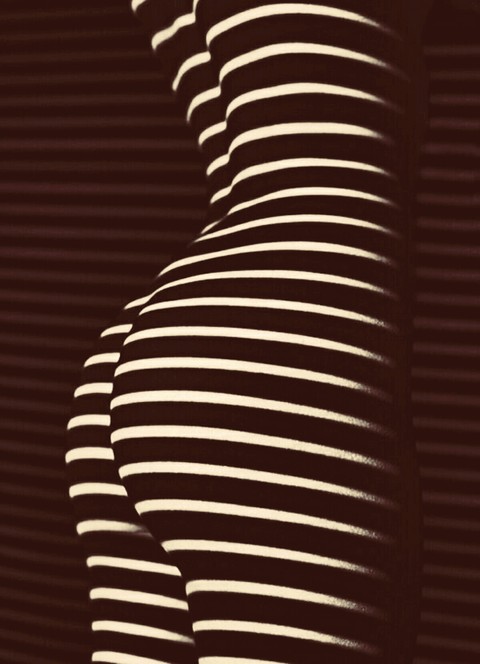 Shadow