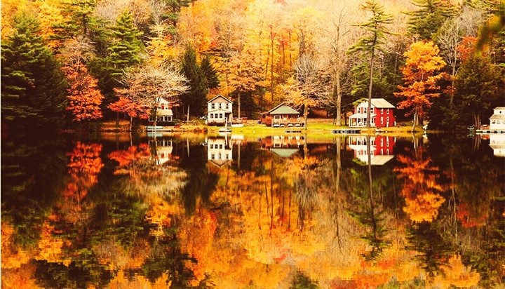 the autum