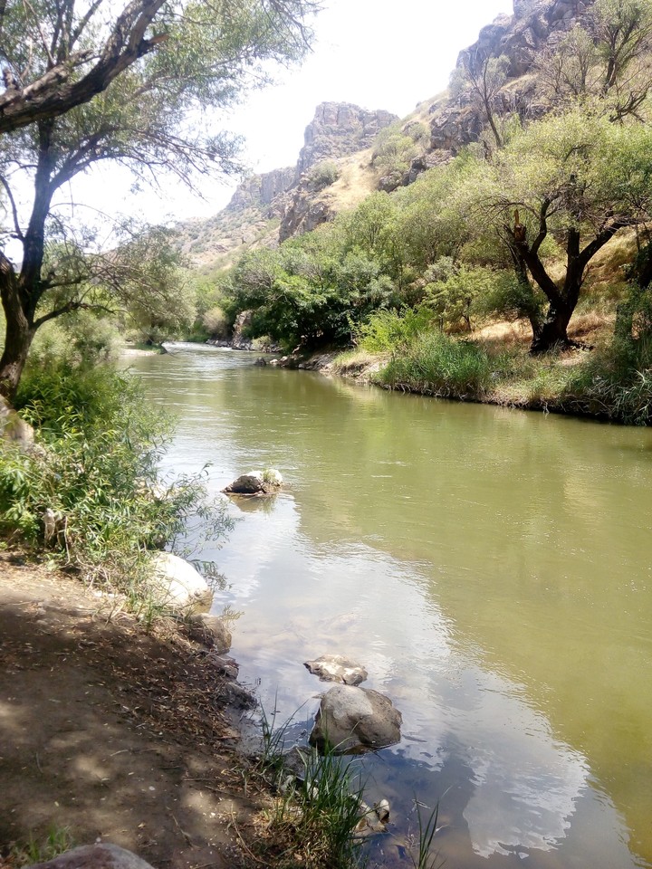 River Arpa