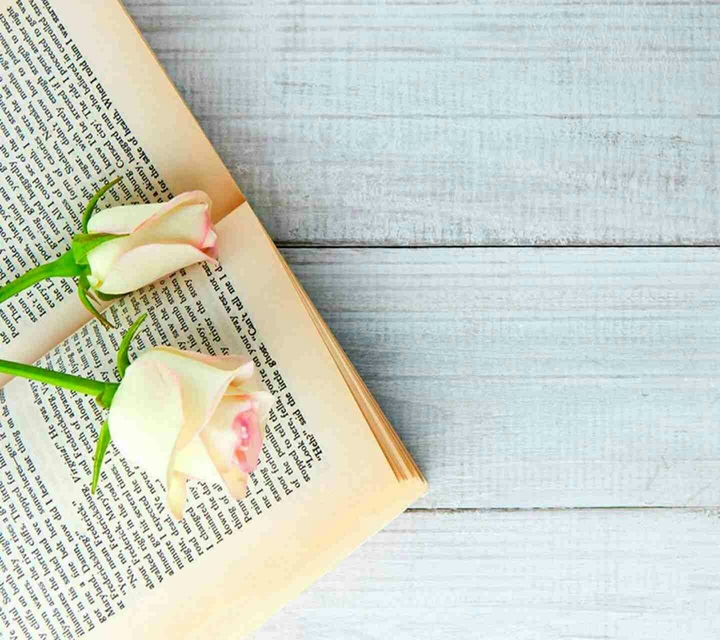 цветы и книга