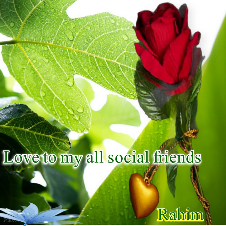 Love to all my friends