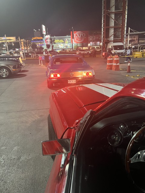 sfondi mustang, tire