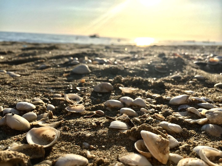 seaside