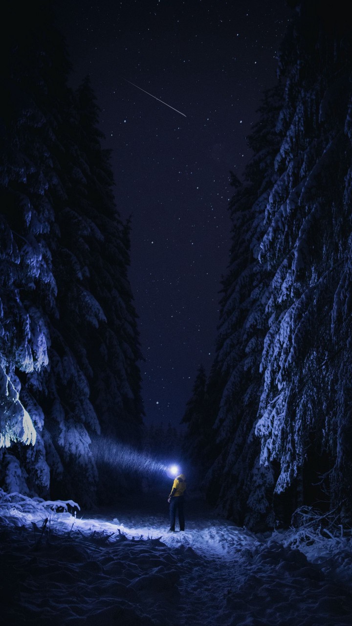 Lost Man