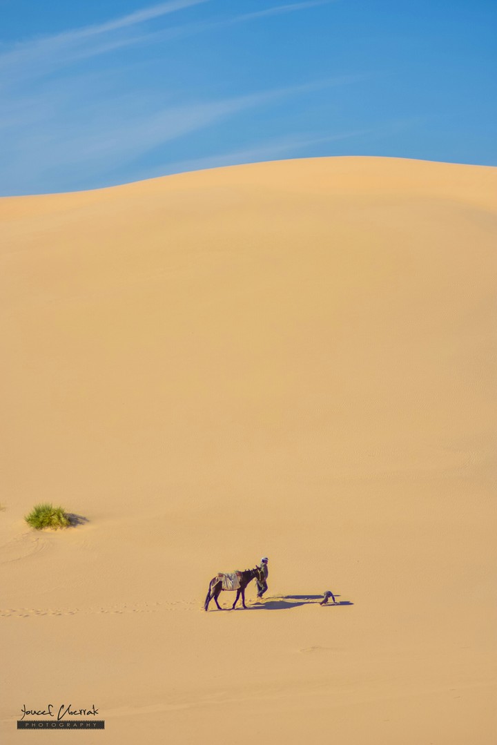 sahara
