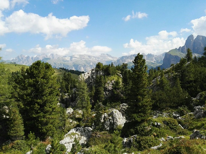 Orizzonte alpino
