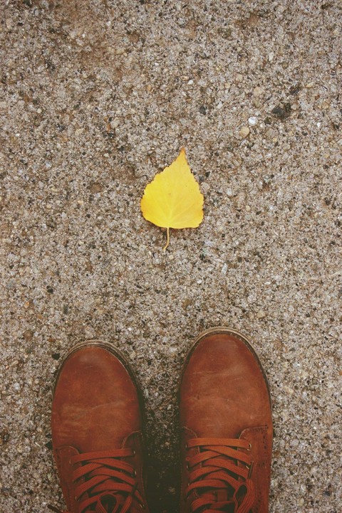 autumn