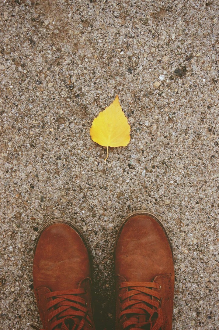 autumn