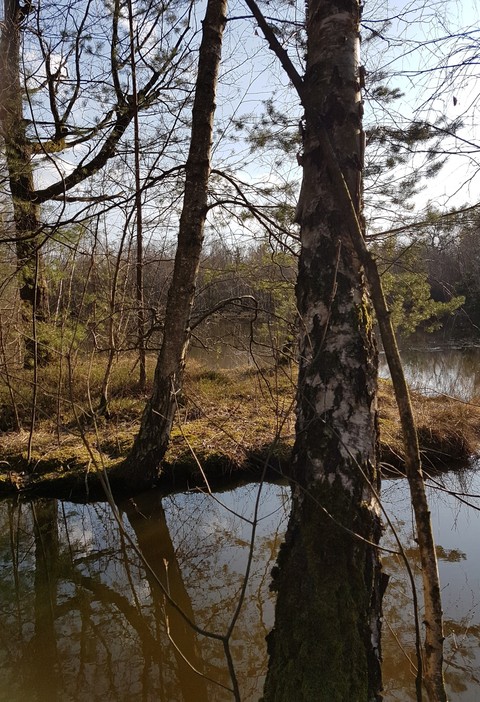 Natur4