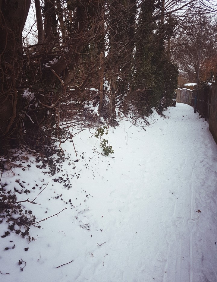 snowy walks