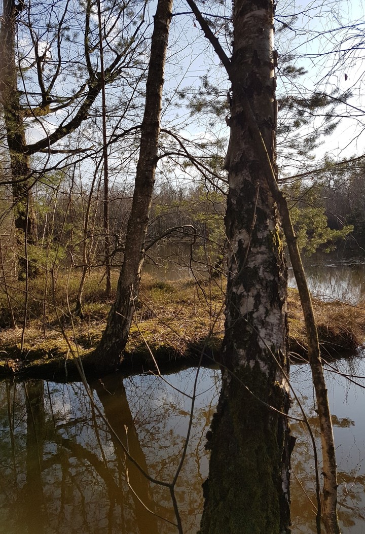 Natur4