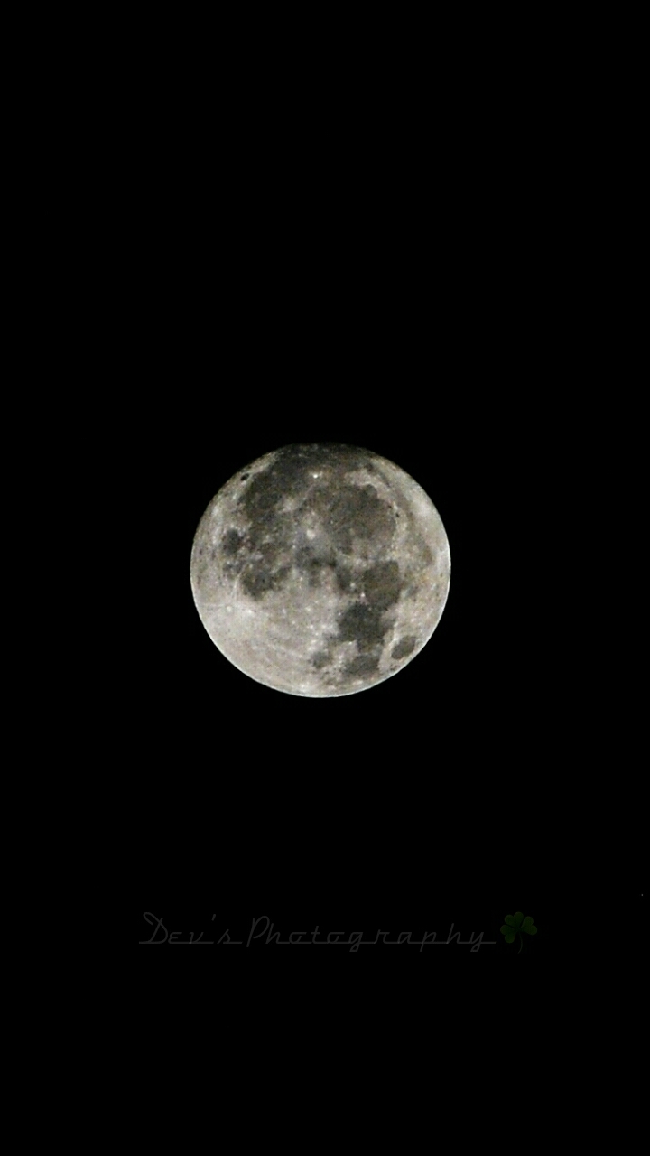 The moon