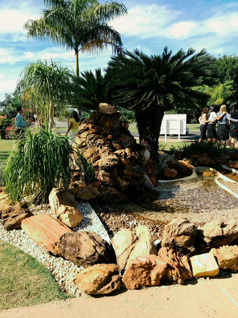 landscape, plant壁纸
