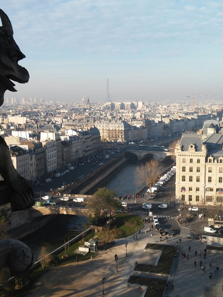 notre dame view