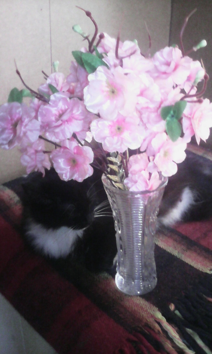 Flora)))