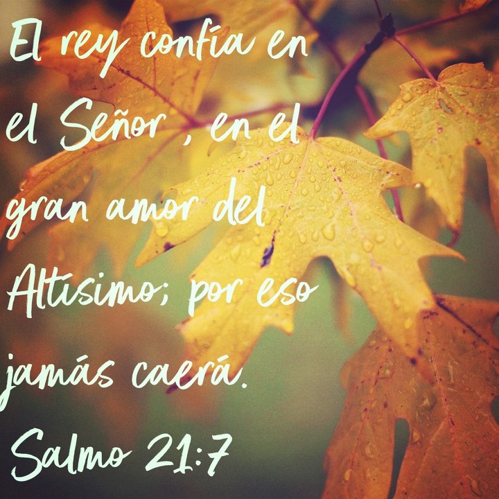 Salmos