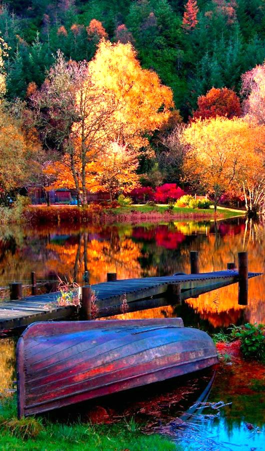 Gorgeous Fall Scene