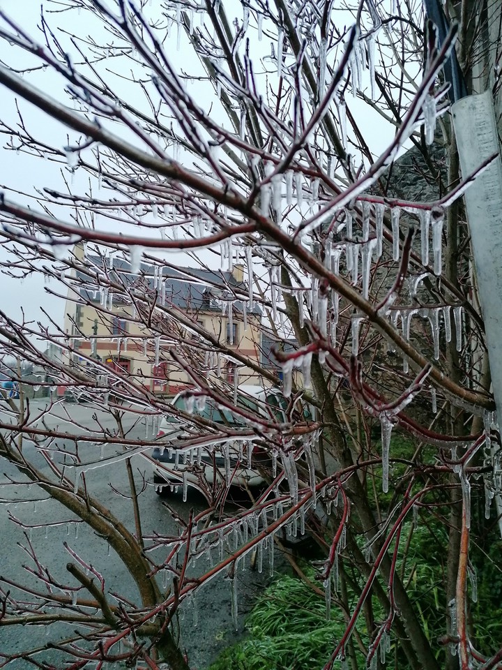 winter