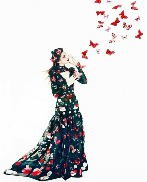 Fairy Butterfly