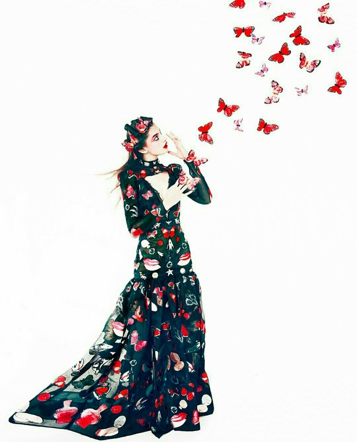 Fairy Butterfly
