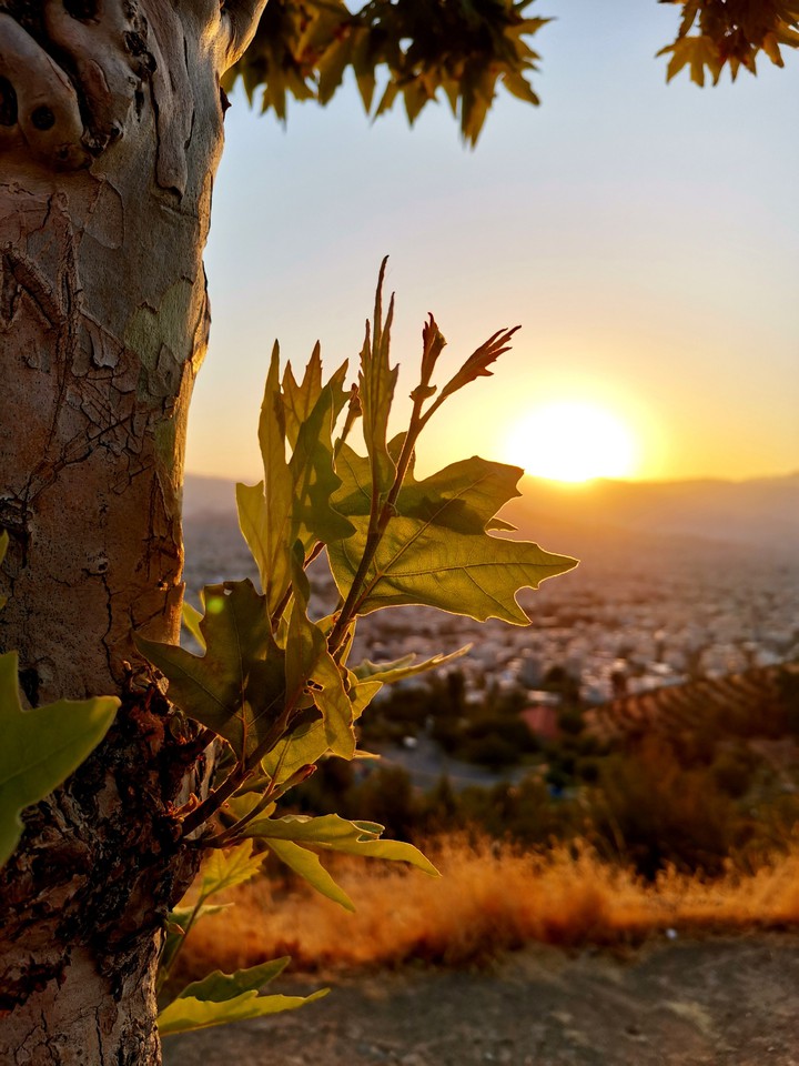 sunrise