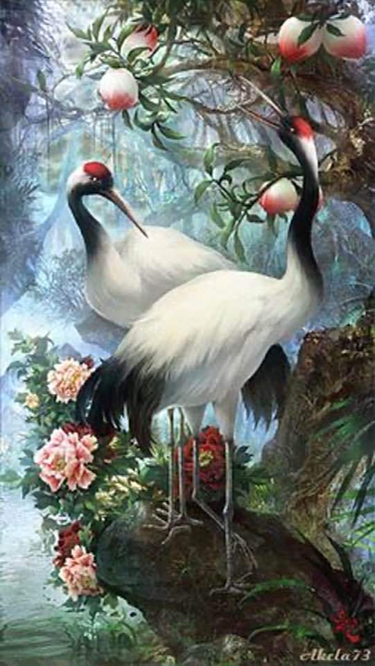 Bello