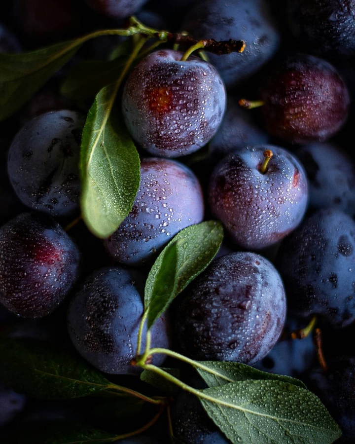 Plum