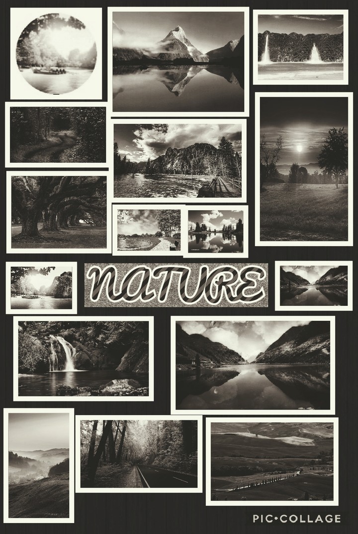LOVE NATURE