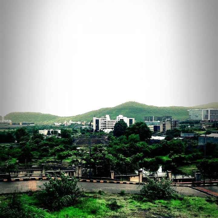 The view