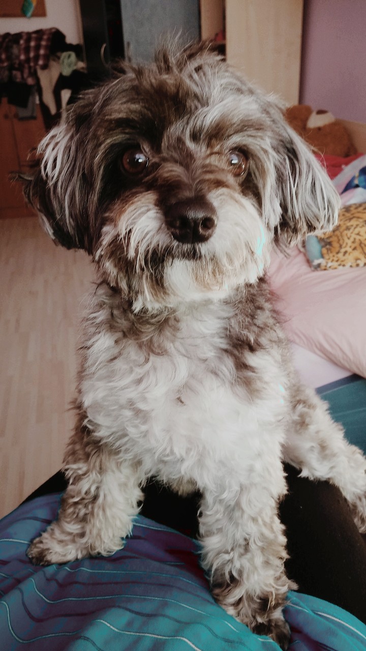 My little baby