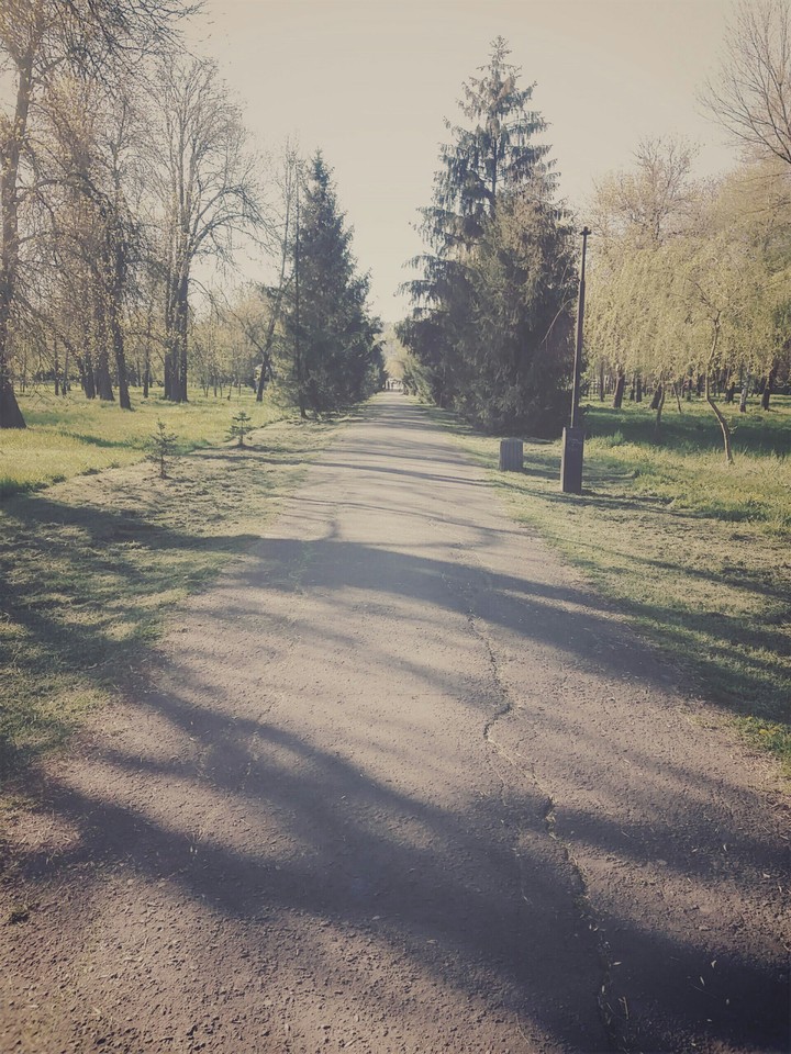 park