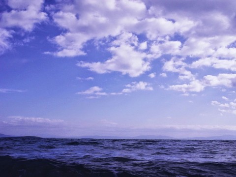 #didim