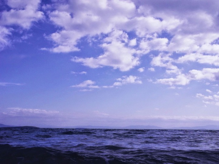 #didim