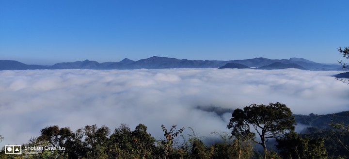 fog @lambasingi