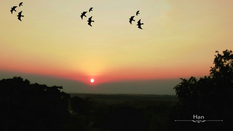 Sunset
