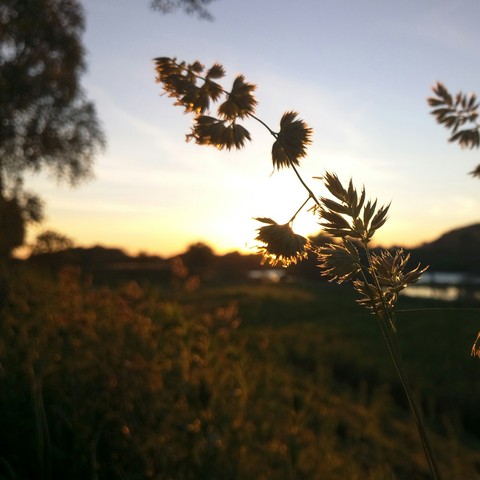 Evening☀️