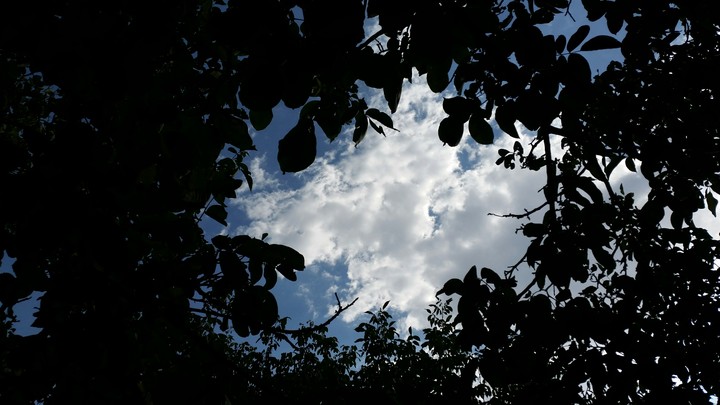 HATCH TO THE SKY