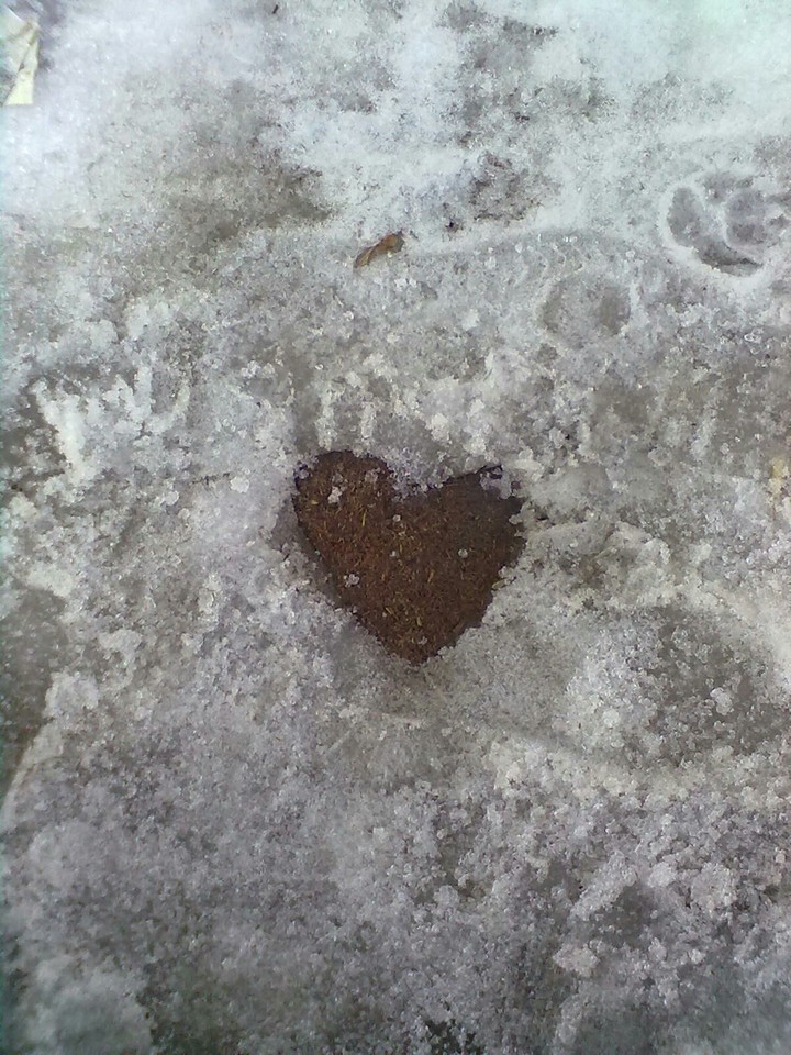 heart