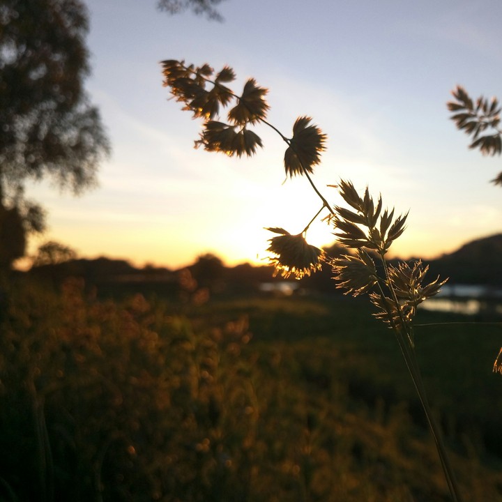 Evening☀️