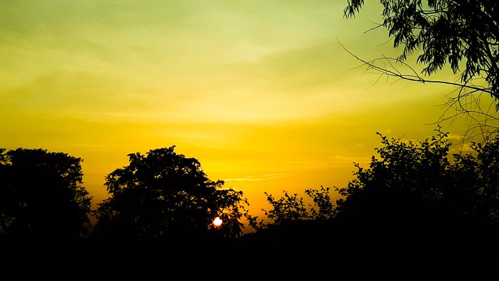 nature
