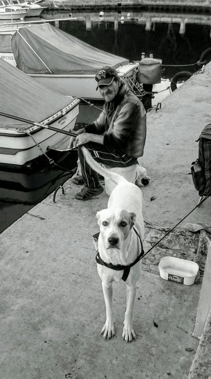 STAMATIOS