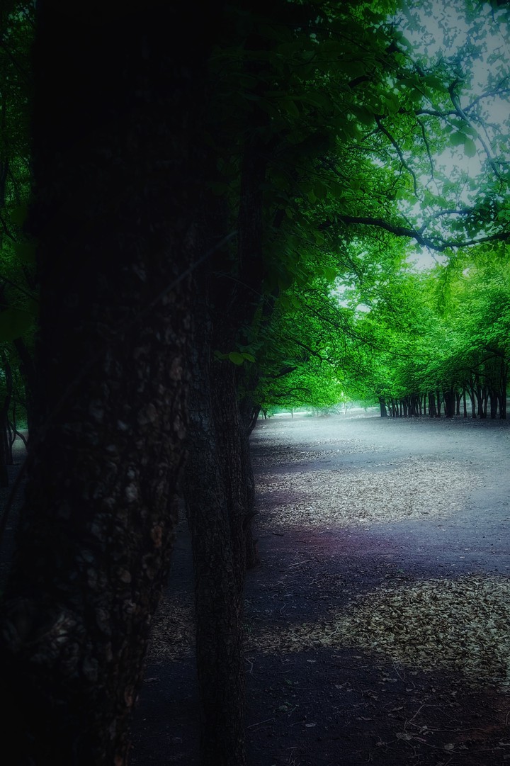 scenery4