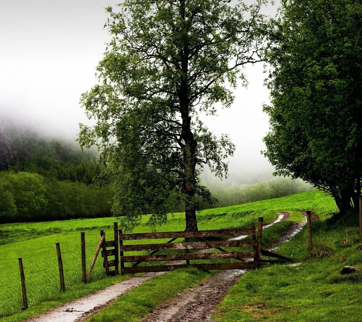 nature