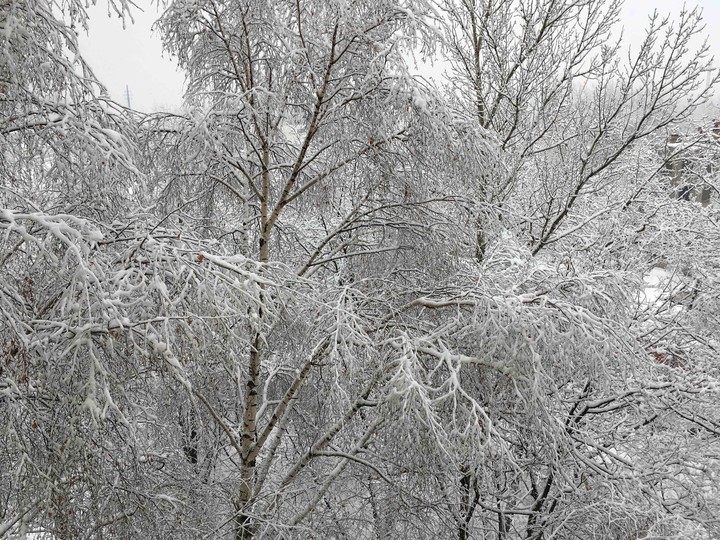 Winter