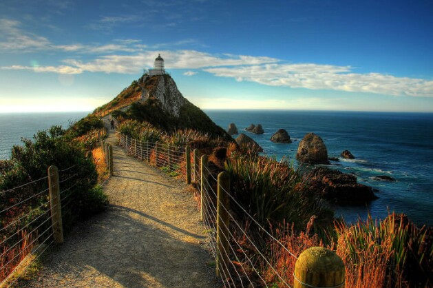 Nugget Point, Otago, New Zealand