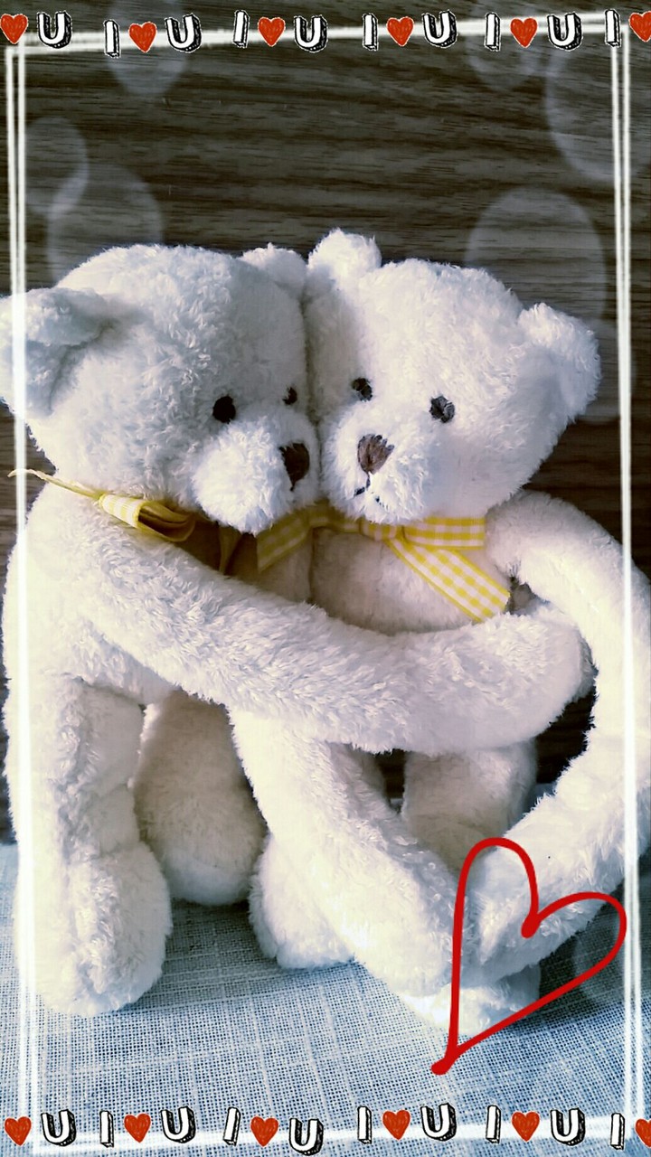 love bear