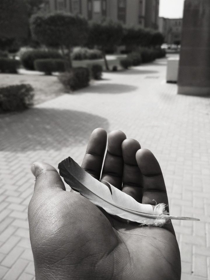 Broken Memory