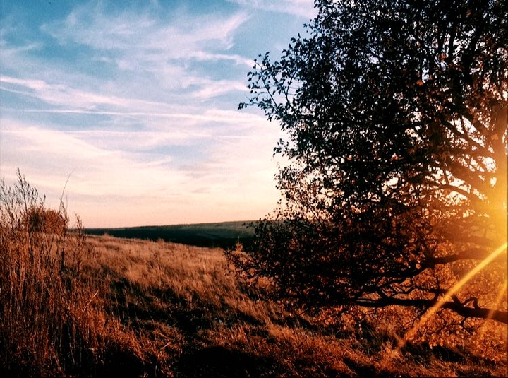 autumn