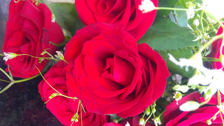 roses