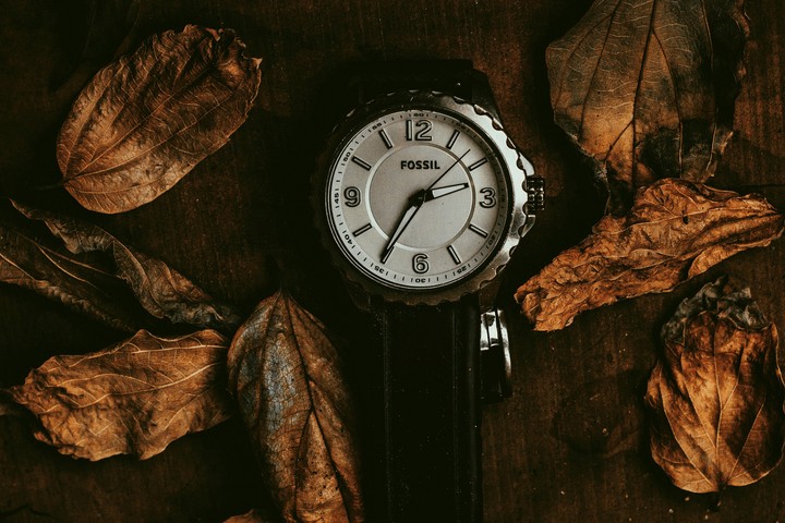wristwatch